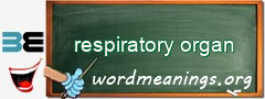 WordMeaning blackboard for respiratory organ